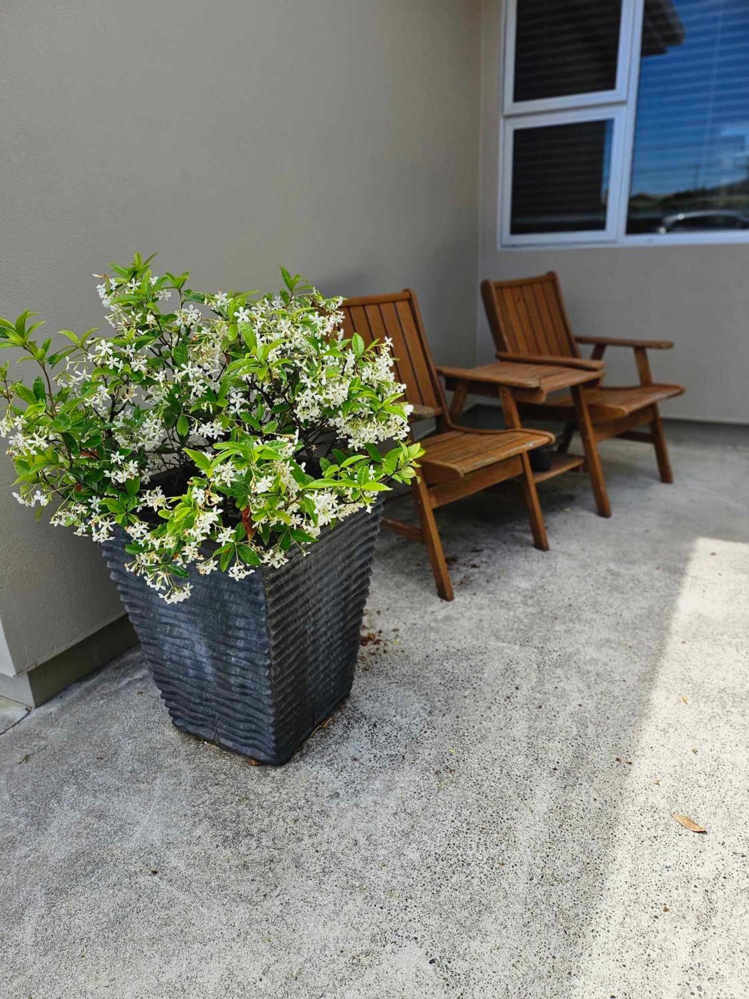 Beach Street Motel Apartments ニュープリマス エクステリア 写真